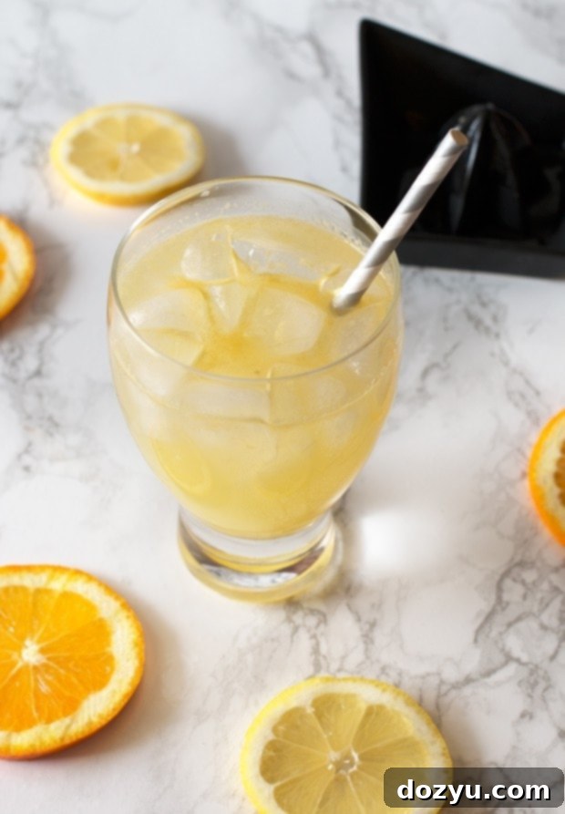 Tipsy Orange Cooler 2 img 4169 4