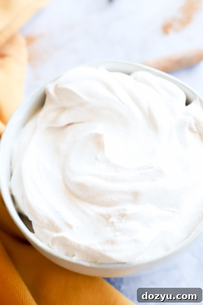 Velvet Cinnamon Cloud 6 Overhead image of cinnamon whipped cream in a rustic bowl, garnished with a cinnamon stick
