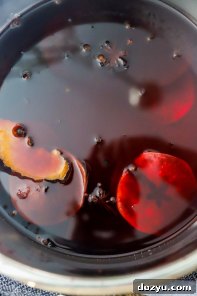 Cozy Instant Pot Mulled Wine 5 img 41852 4