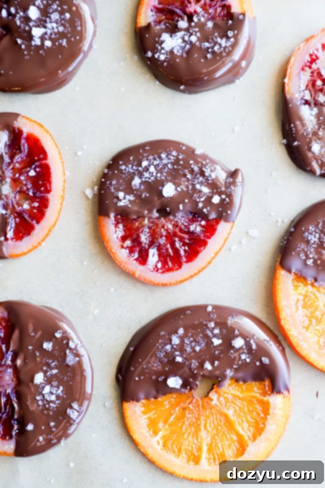 Gourmet Chocolate Dipped Candied Orange Slices 2 Beautifully arranged chocolate-dipped candied orange slices on a white background, highlighting their festive appeal.