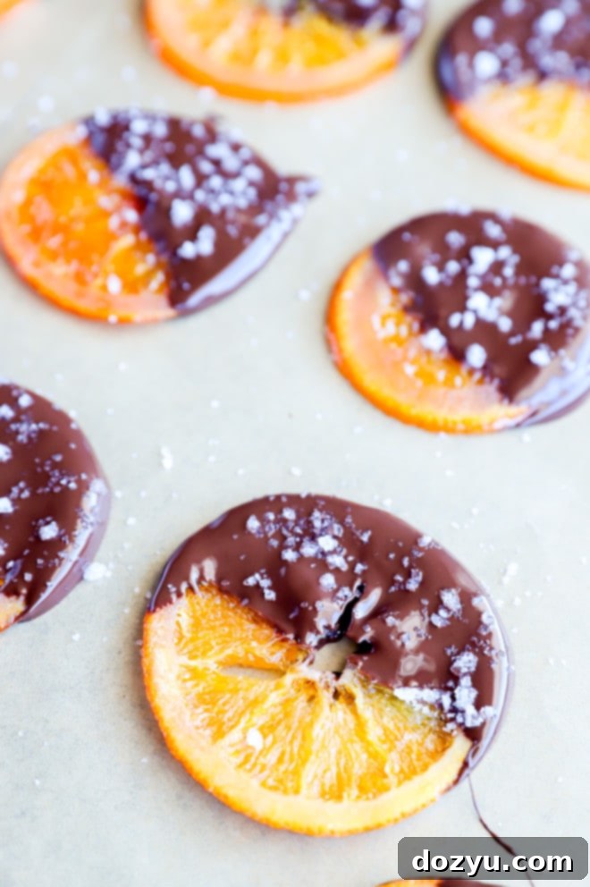 Gourmet Chocolate Dipped Candied Orange Slices 6 A batch of freshly chocolate-dipped candied orange slices resting on parchment paper to set.