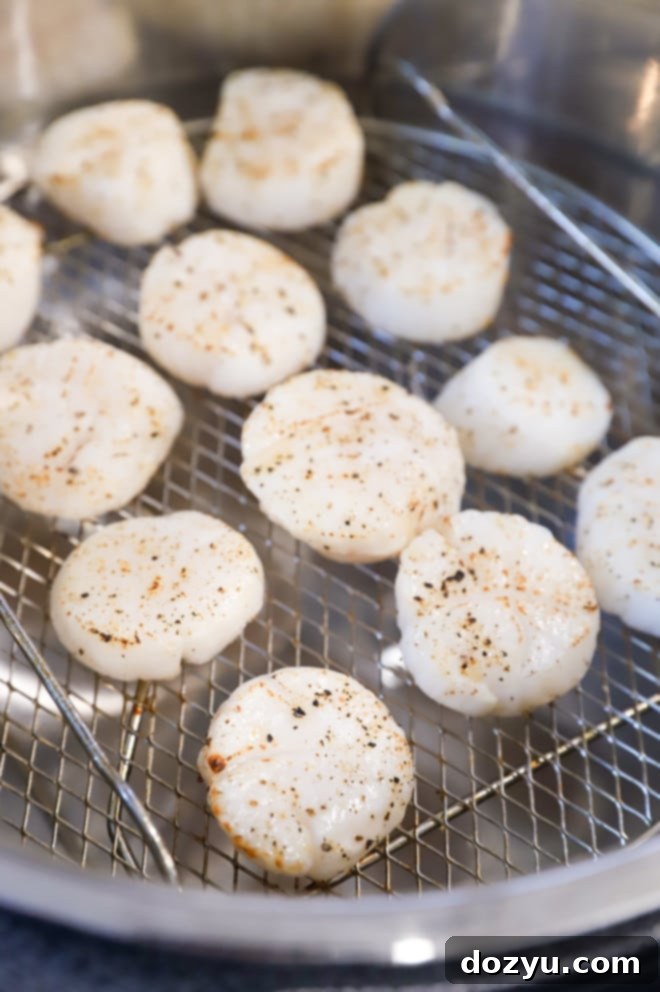 Effortless Air Fryer Scallops with Bright Chive Lemon Butter 6 Freshly cooked scallops in an air fryer basket