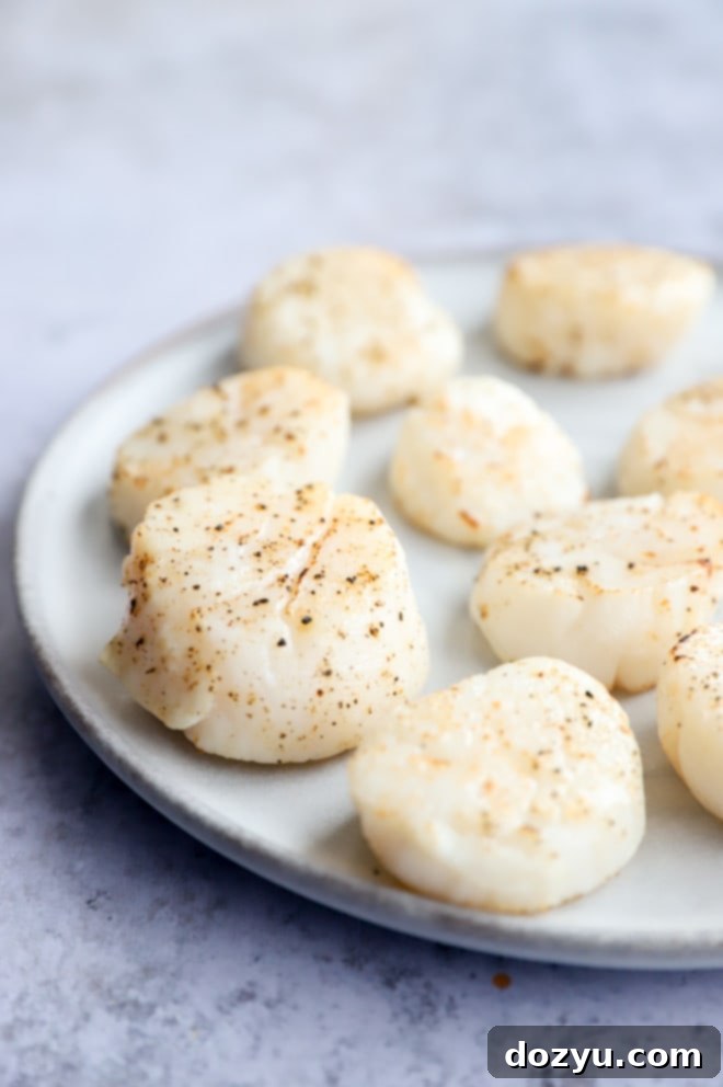 Effortless Air Fryer Scallops with Bright Chive Lemon Butter 7 Cooked air fryer scallops arranged neatly on a plate