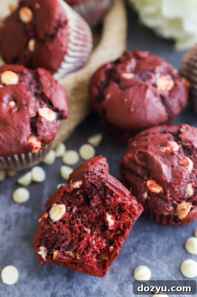 Crimson Velvet Indulgence 2 Half of a red velvet muffin with white chocolate chips, showing its fluffy interior