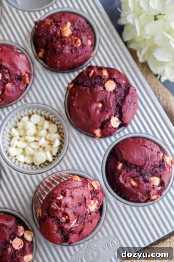 Crimson Velvet Indulgence 3 Red Velvet Muffins perfectly baked in a cupcake pan, ready to be enjoyed.