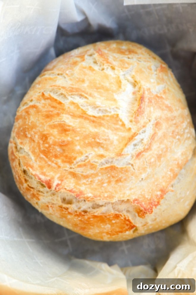 Effortless Overnight No Knead Bread 2 Bread in a dutch oven after baking picture