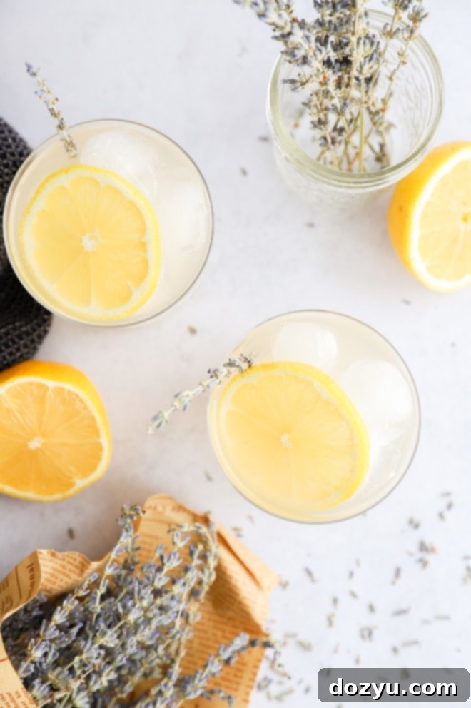 Blissful Lavender Lemonade Cocktail 7 Overhead view of two glasses filled with Lavender Lemonade Cocktail, garnished with lemon slices and fresh lavender, on a light textured background.