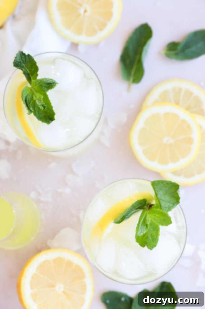 Limoncello Spritz 6 Overhead image of a refreshing Limoncello Spritz cocktail with lemon slices and prosecco bubbles