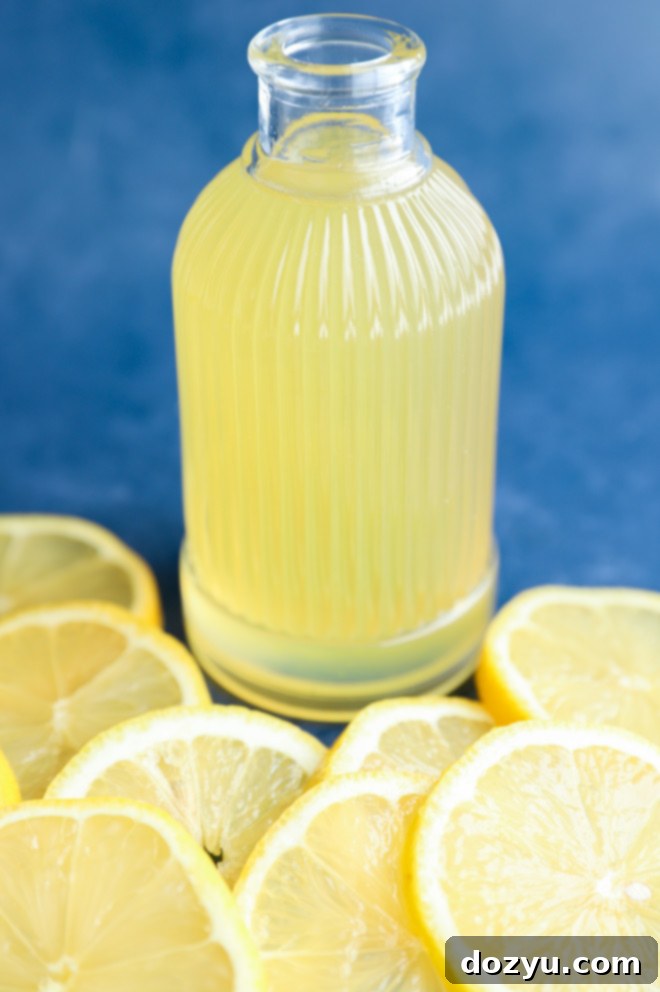 Zesty Lemon Syrup 9 Slices of lemon next to lemon recipe