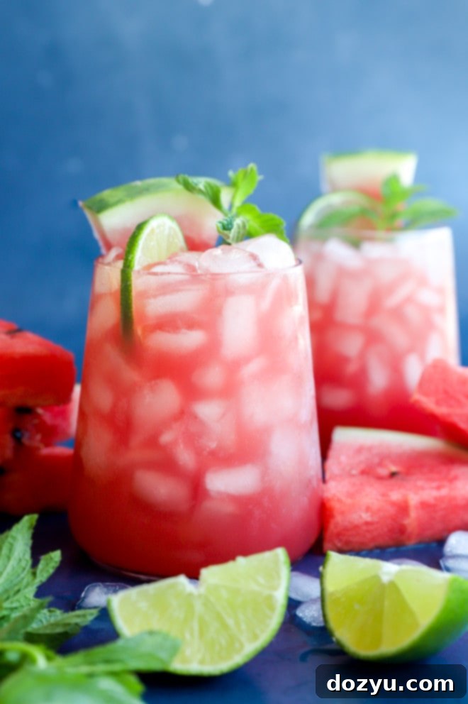 Watermelon Vodka Bliss 2 Photo of fruity cocktail in glasses with fresh fruit