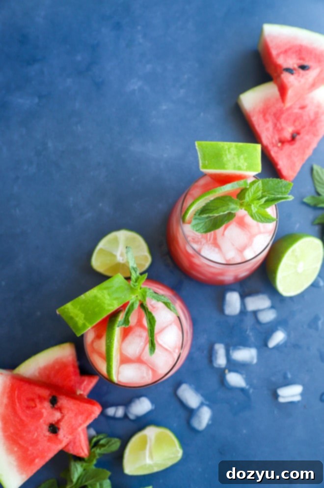 Watermelon Vodka Bliss 6 Overhead image of summer drinks in glasses with garnish