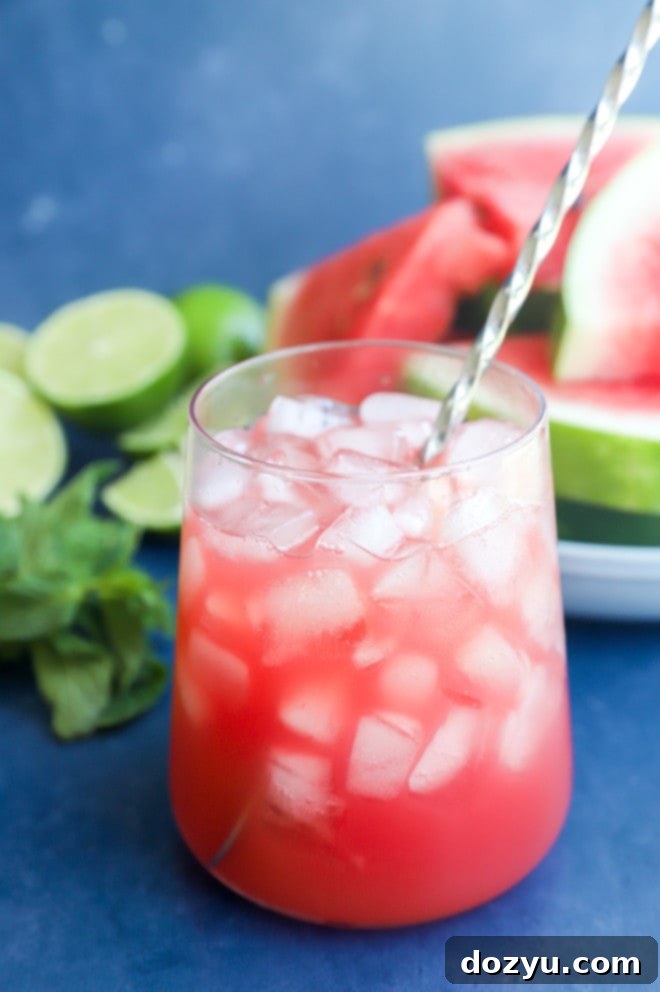 Watermelon Vodka Bliss 7 Stirring a watermelon vodka cocktail image