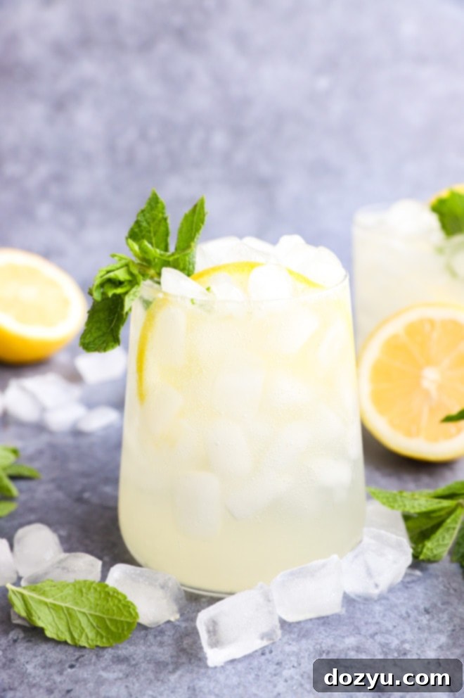 Zesty Lemon Mojito 6 Side view photo of citrus mint cocktails in glasses, garnished with lemon and mint