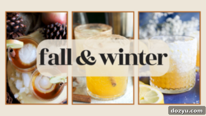 fall and winter cocktails banner