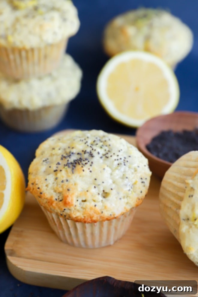 Sunshine Lemon Poppy Seed Muffins 9 Delicious bakery-style lemon poppy seed muffins with glaze, arranged attractively