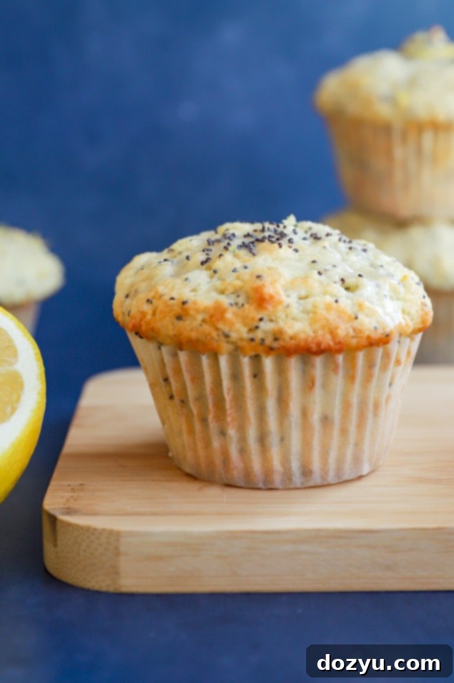 Sunshine Lemon Poppy Seed Muffins 3 Single lemon poppy seed muffin in a paper liner, showcasing its domed top and moist texture