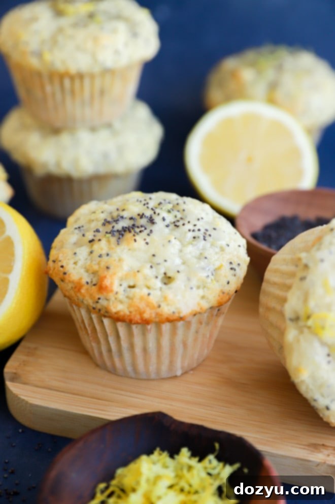 Sunshine Lemon Poppy Seed Muffins 5 Freshly baked lemon poppy seed muffins with lemons and lemon zest garnish