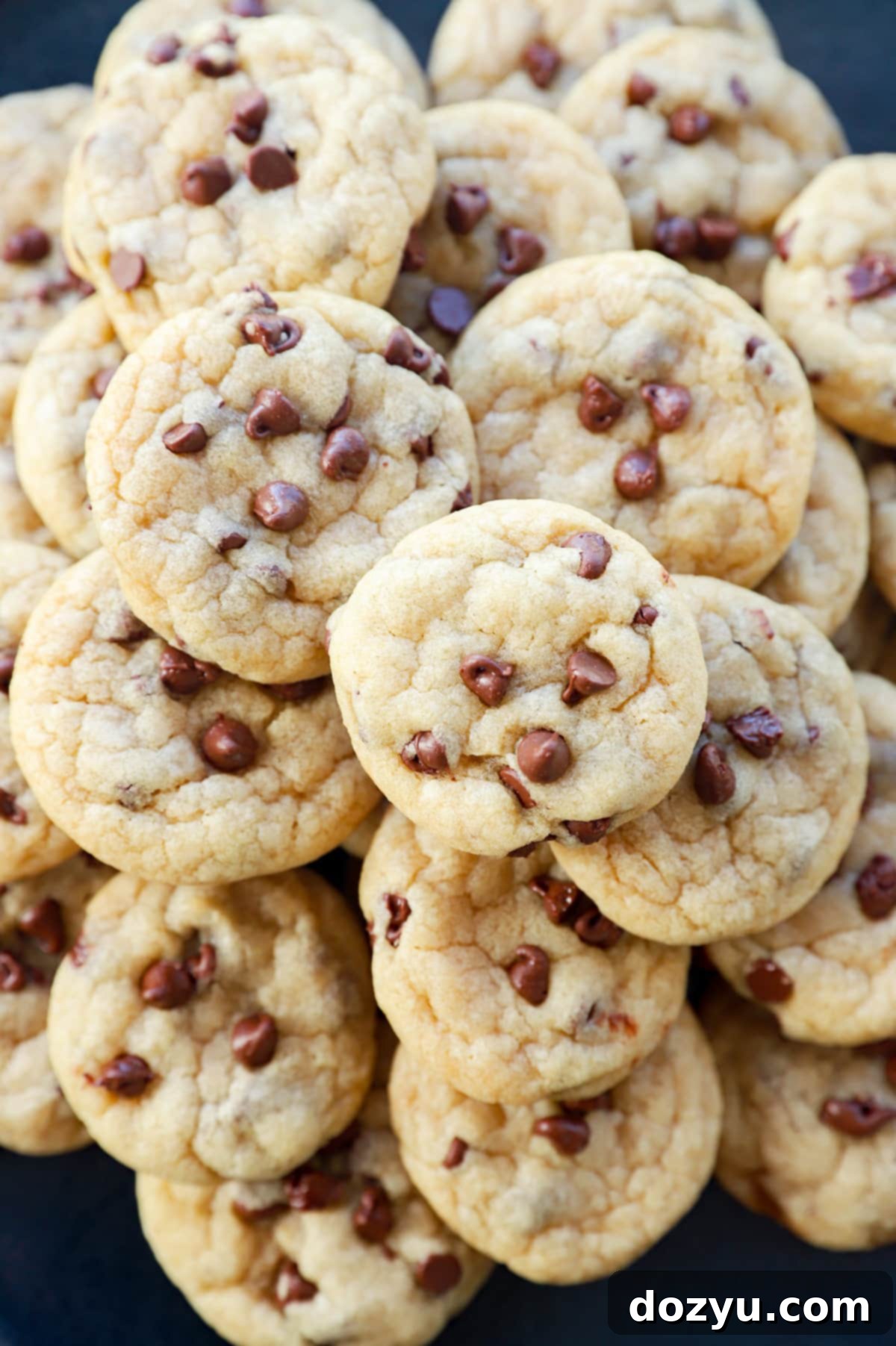 Bite-Sized Chocolate Chip Delights 10 plate of tiny baked goods