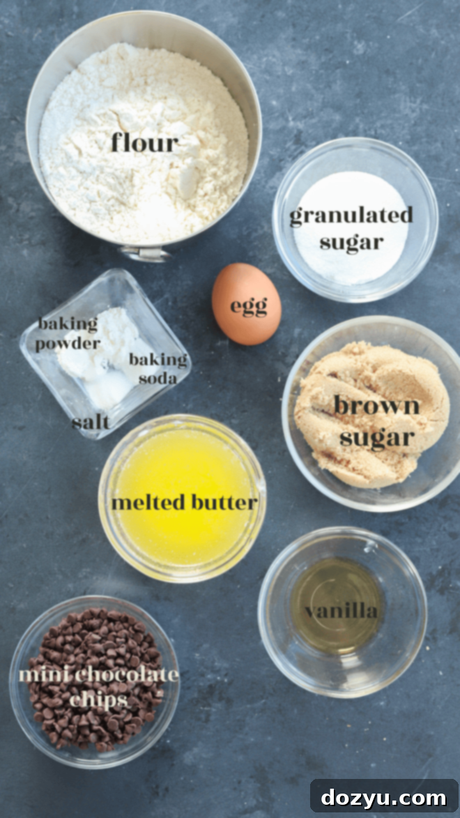 Bite-Sized Chocolate Chip Delights 4 Mini Chocolate Chip Cookies Ingredients