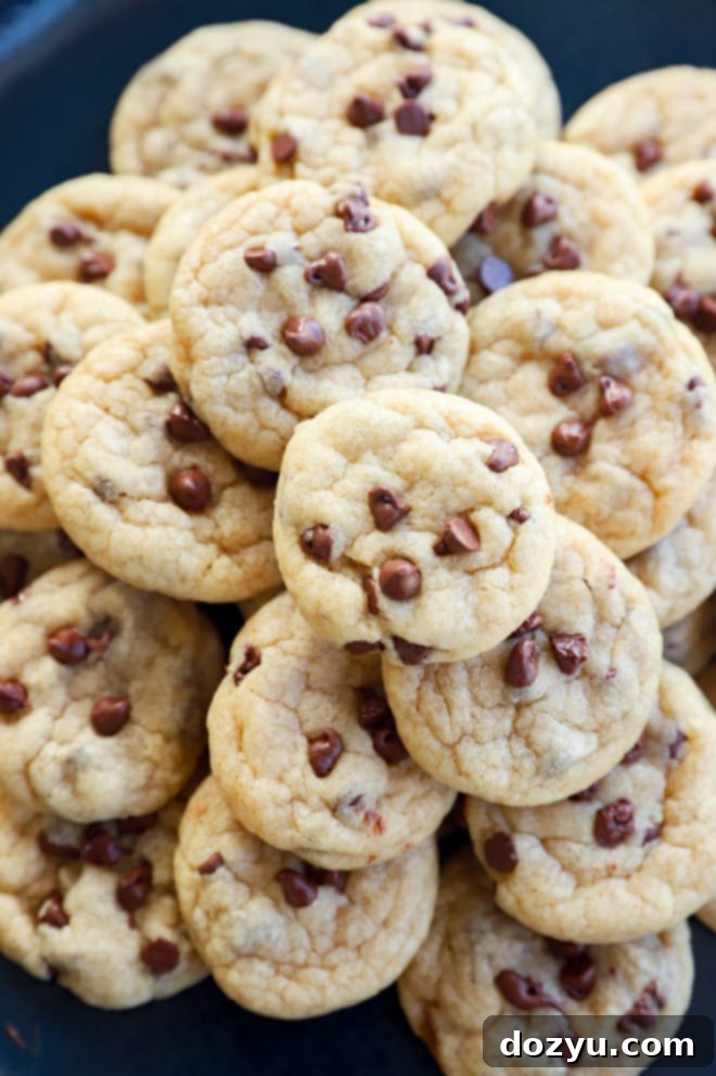 Bite-Sized Chocolate Chip Delights 9 Pile of wholesome mini desserts