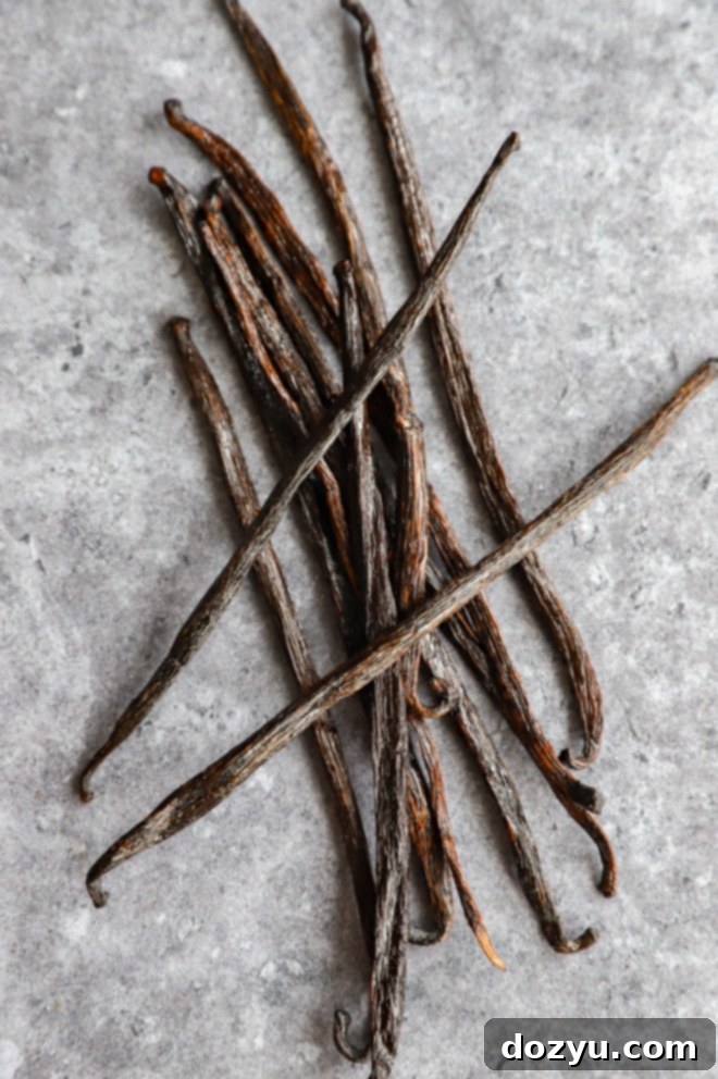 Craft Your Own Vanilla Extract 4 Close-up of plump, dark vanilla beans ready for extract making