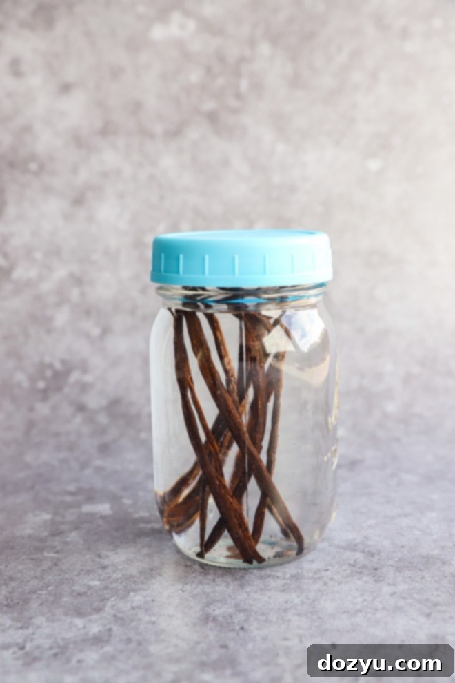 Craft Your Own Vanilla Extract 7 A mason jar sealed with vodka and vanilla beans, beginning the infusion process