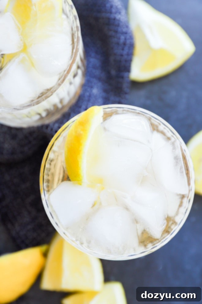 Gin Ginger Fizz 2 Two glasses of Gin and Ginger Ale, garnished with lemon wedges and a bar spoon. A perfect refreshing summer drink.