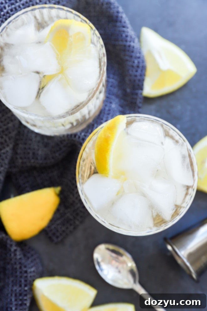 Gin Ginger Fizz 8 Two Gin Buck cocktails in elegant glasses, with a jigger and lemon wedges on the side.