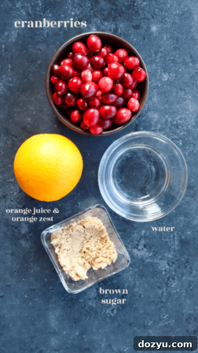 Ruby Red Cranberry Preserve 4 Individual ingredients laid out for making cranberry jam, including fresh cranberries, brown sugar, orange, water, and salt.