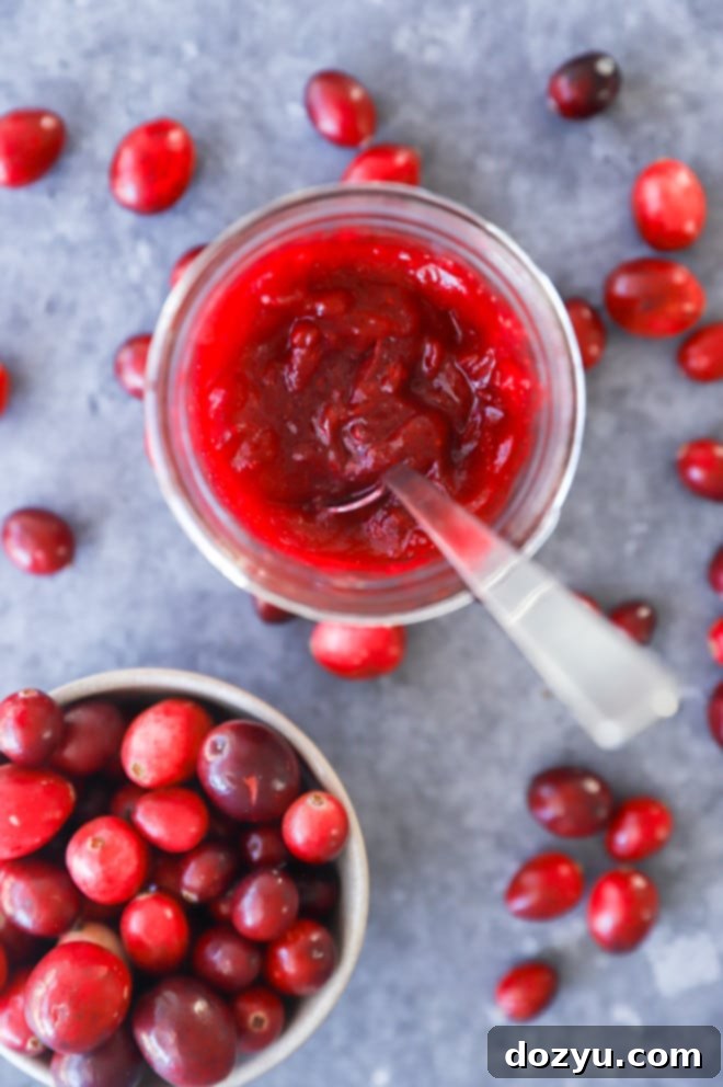 Ruby Red Cranberry Preserve 8 A close-up shot of a jar filled with smooth, vibrant cranberry jam, showcasing its appealing texture and color.