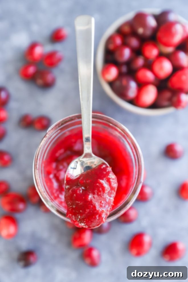 Ruby Red Cranberry Preserve 9 A close-up of a spoonful of glossy cranberry jam, showing its smooth texture and rich color.