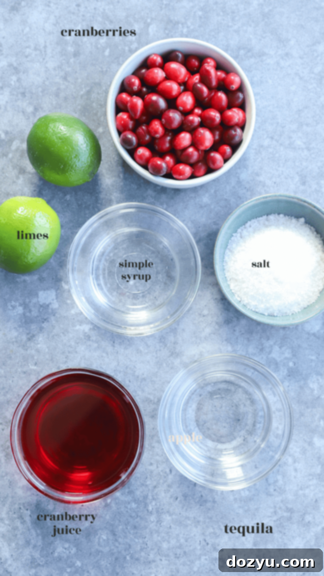 Refreshing Cranberry Margarita 3 Individual ingredients for a Cranberry Margarita laid out with labels, including a bottle of tequila, a bottle of orange liqueur, a glass of cranberry juice, and fresh limes.