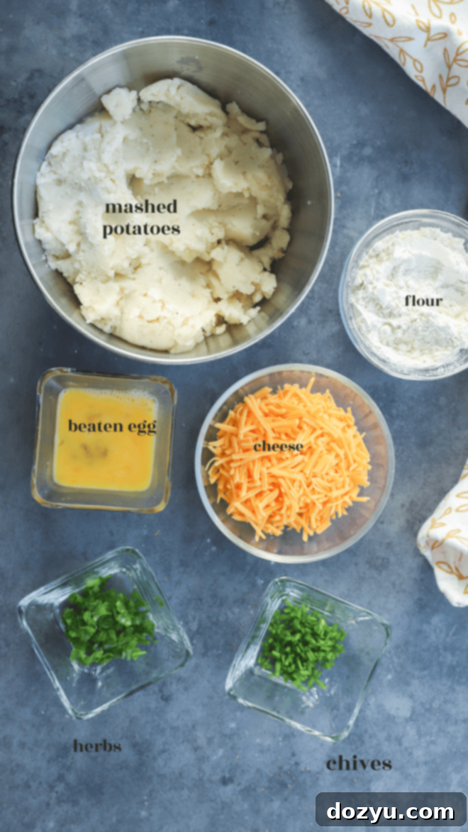 Crispy Potato Patties 4 Ingredients for mashed potato fritters