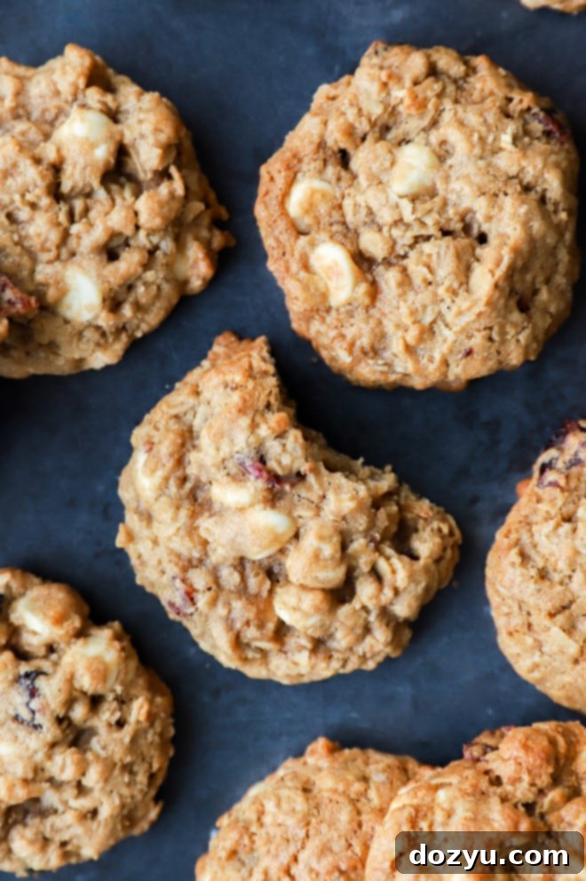 Cranberry White Chocolate Oatmeal Delights 11 A bite take out of a christmas treat