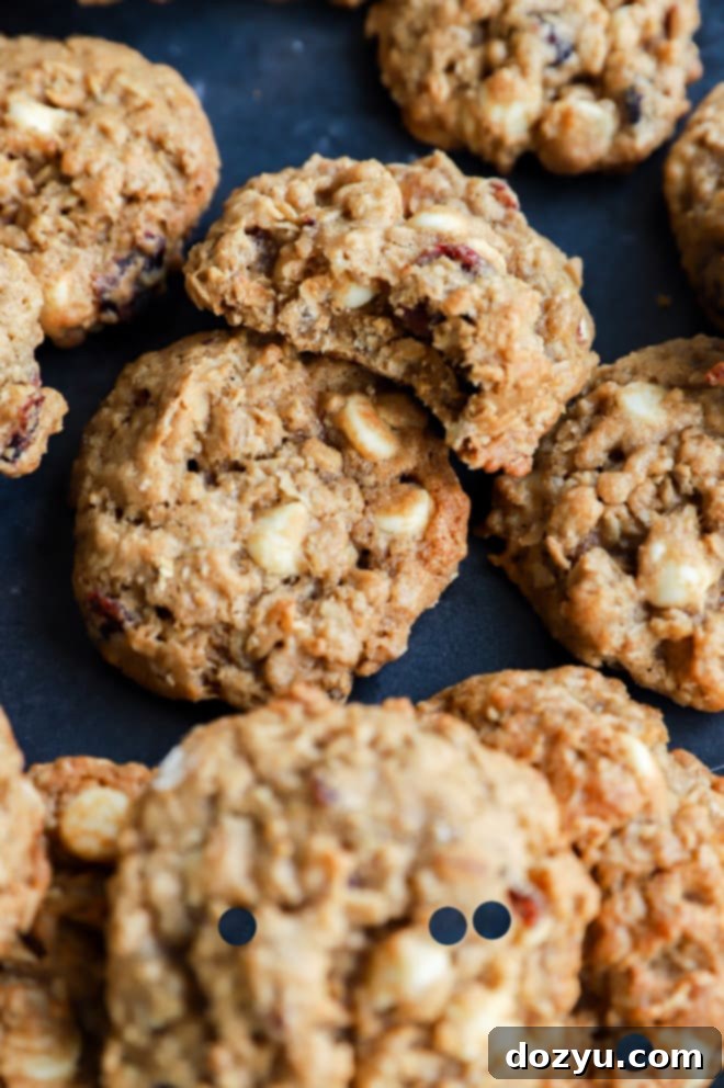 Cranberry White Chocolate Oatmeal Delights 12 Pile of holiday treats with chips and fruit