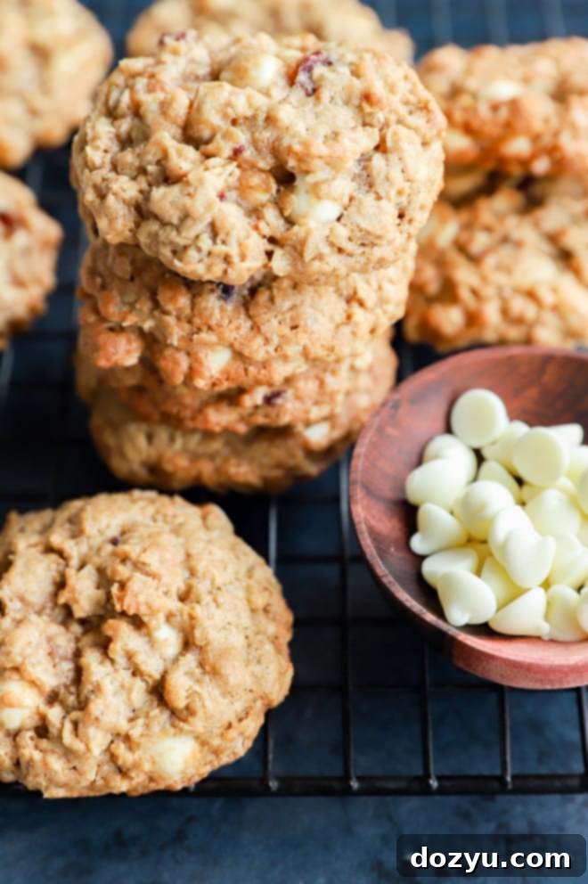 Cranberry White Chocolate Oatmeal Delights 6 Homemade holiday treats in a stack with a bowl of chips