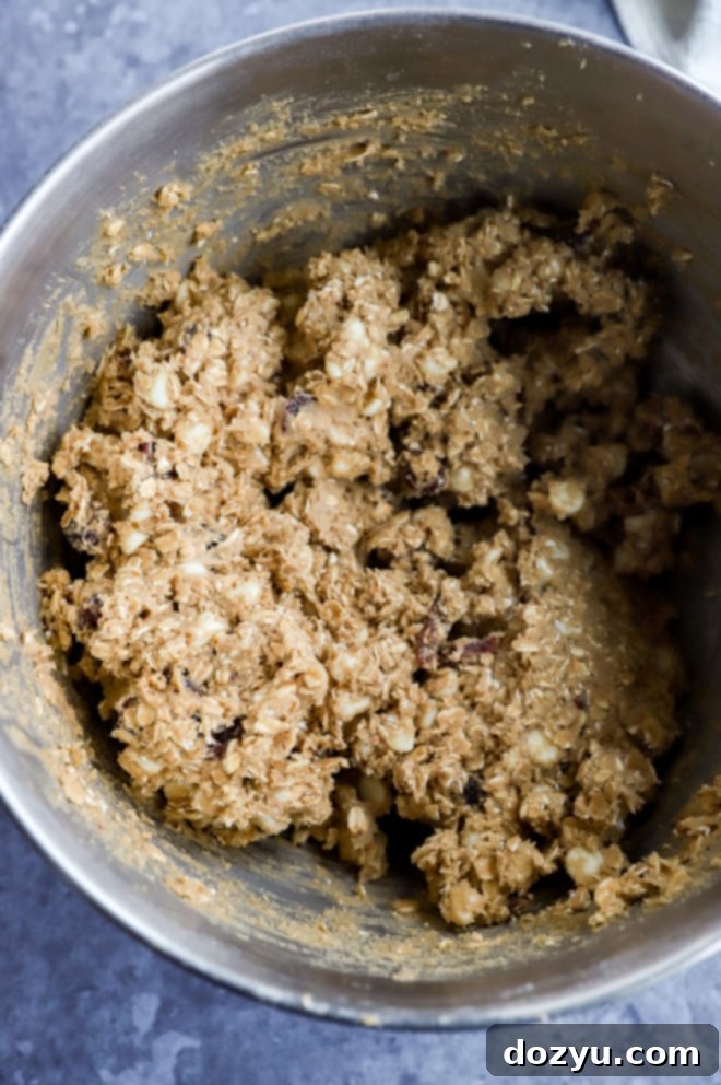 Cranberry White Chocolate Oatmeal Delights 7 cookie dough in a large bowl for a stand mixer