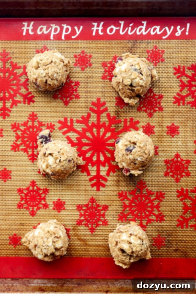 Cranberry White Chocolate Oatmeal Delights 8 Cranberry White Chocolate Oatmeal Cookies making cookie dough balls