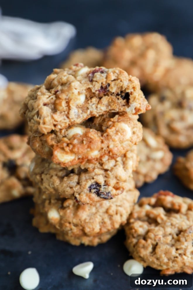 Cranberry White Chocolate Oatmeal Delights 10 Stack of cookies with chips and cranberries
