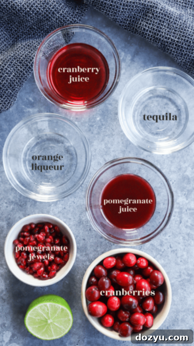 Frosted Fiesta Margarita 3 ingredients for Christmas margarita