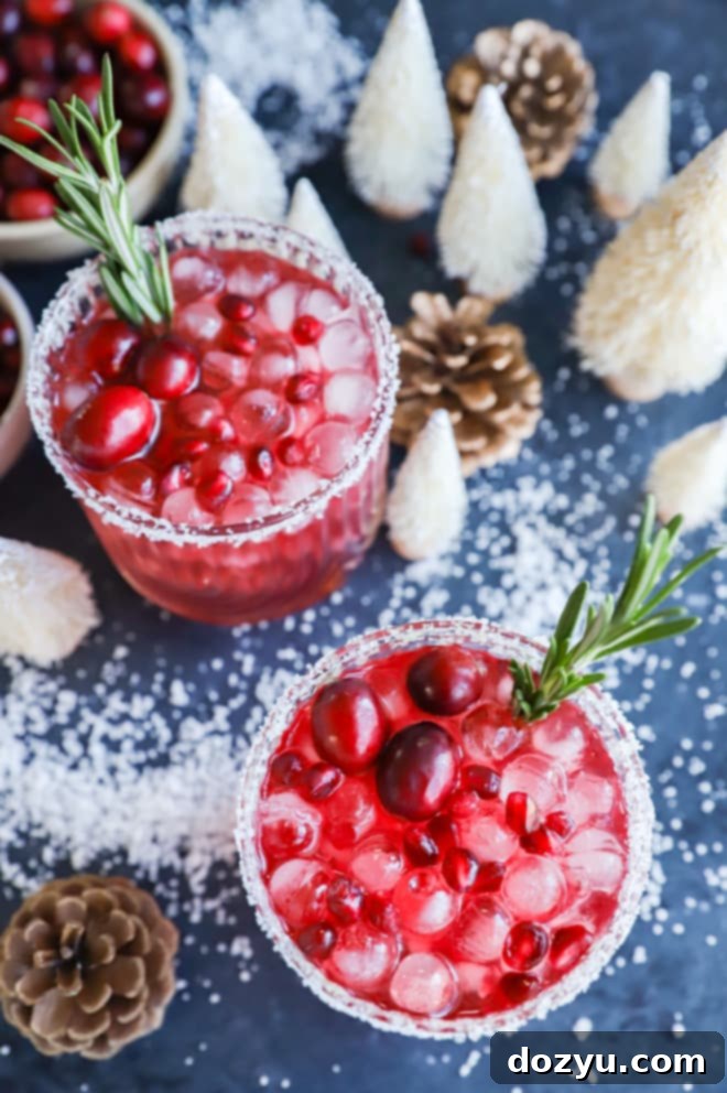 Frosted Fiesta Margarita 9 Two holiday cocktails in glasses with ice and fresh fruit