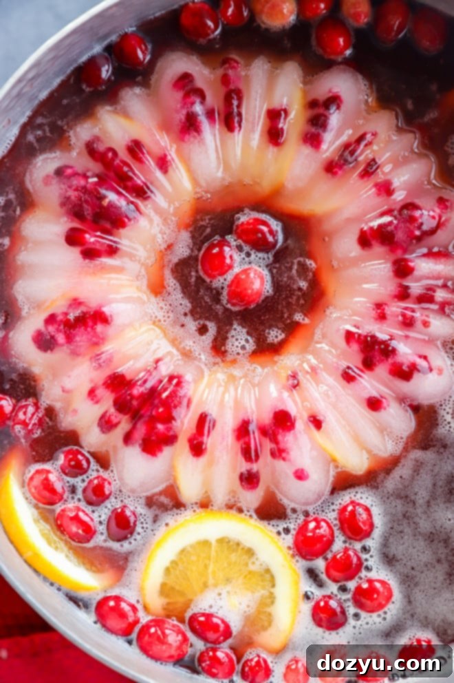 Your Guide to Festive Christmas Punches 2 bowl of holiday drink with fresh fruit and ice ring