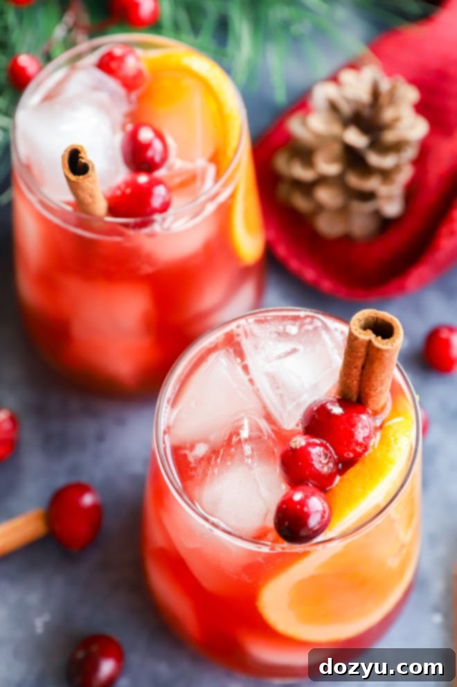 Your Guide to Festive Christmas Punches 4 Glasses of holiday big batch cocktail