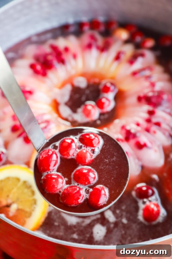 Your Guide to Festive Christmas Punches 7 ladle of christmas punch with fresh cranberries