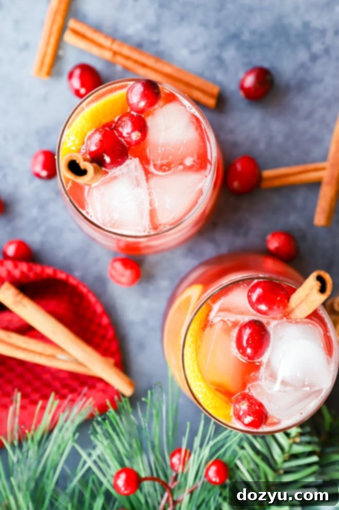 Your Guide to Festive Christmas Punches 8 Image of holiday cocktail with cranberries oranges and cinnamon sticks