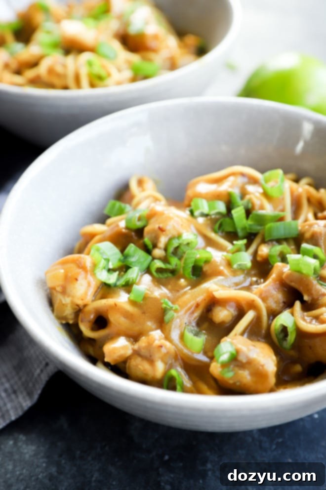 Rich Japanese Curry Udon 6 A close-up shot of a bowl of creamy chicken curry udon garnished with green onions.