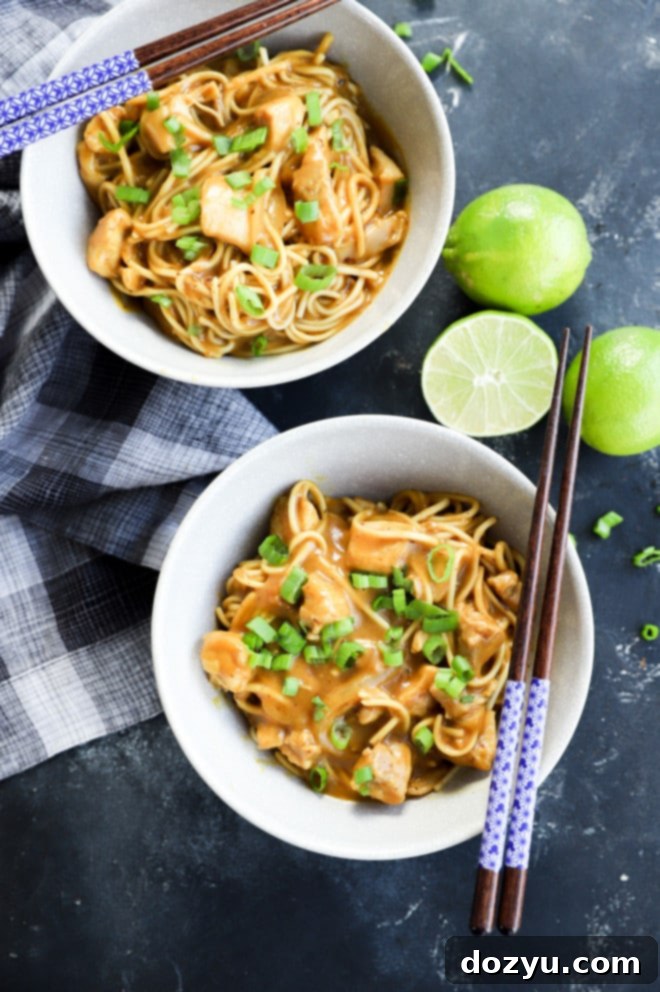Rich Japanese Curry Udon 9 Two bowls of chicken curry udon, garnished with green onions, ready for a comforting meal.