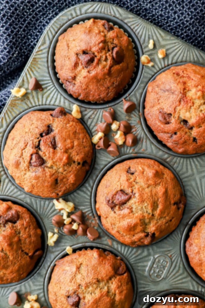Golden Banana Muffins 2 Freshly baked banana bread muffins in a cupcake tin, topped with nuts and chocolate chips.