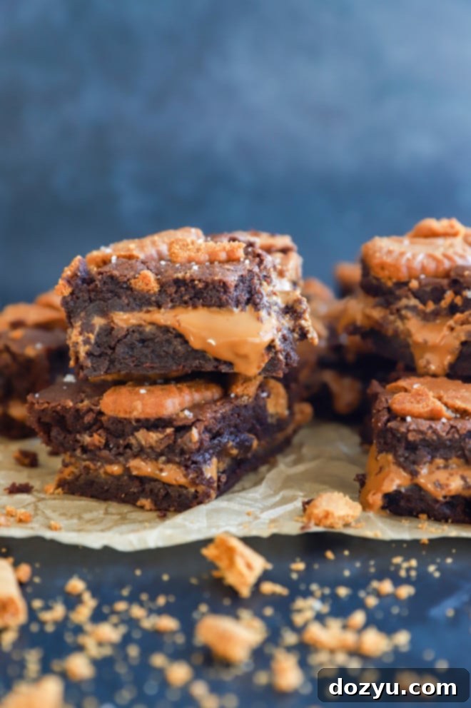 Decadent Biscoff Brownies 8 Gooey chocolate treats in a pile