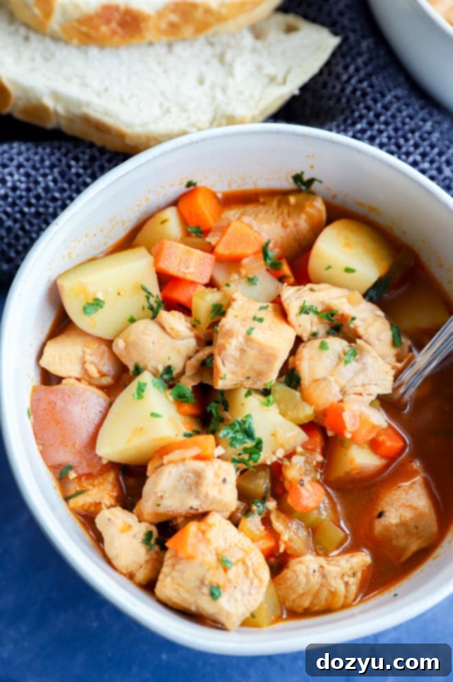Cozy Instant Pot Chicken Stew 5 image of winter hearty stew with seasonal vegetables